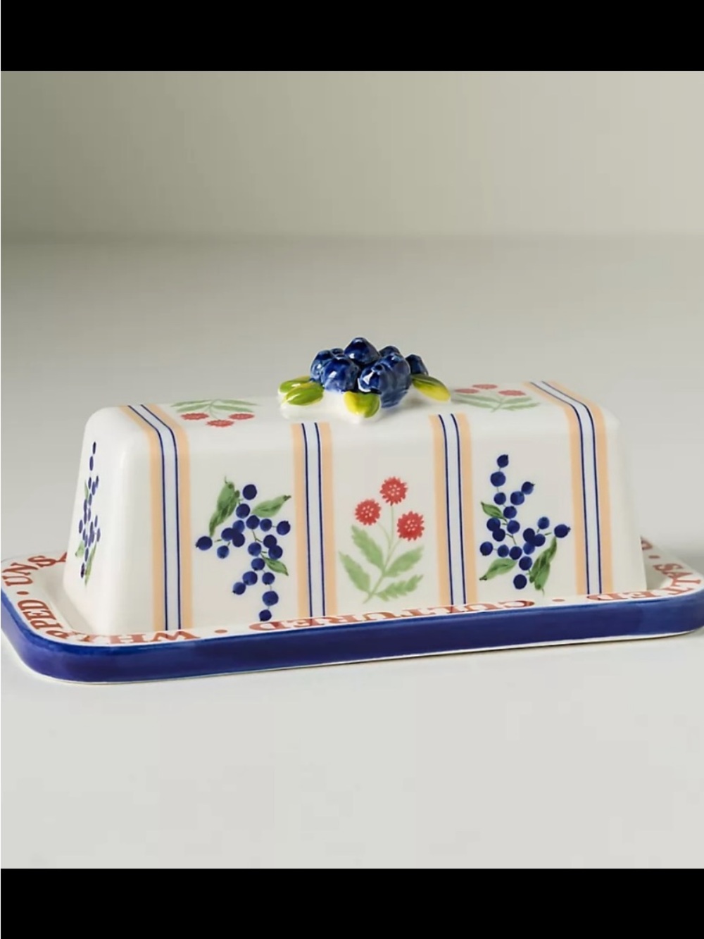 Anthropologie Hand-Painted Ceramic Butter Dish with Floral Blueberry Motif
